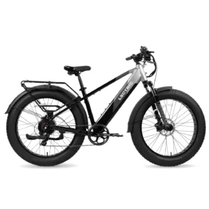 XPeak High Step eBike1